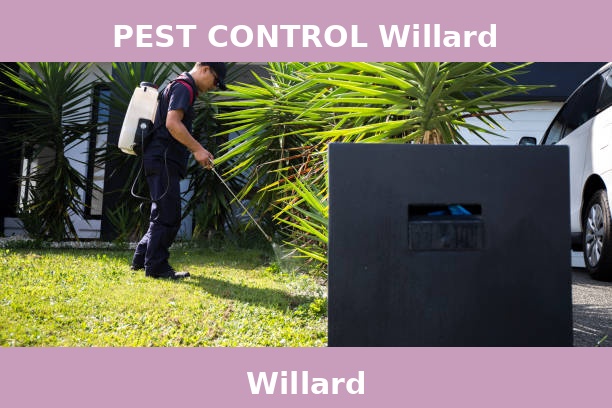 PEST CONTROL Willard
